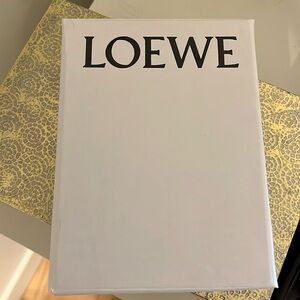 Loewe small box 5x7 with dust bag inside